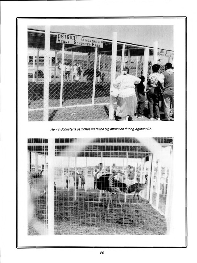 Agrifest : agriculture and food fair of St. Croix, Virgin Islands. 1998. - Page 21