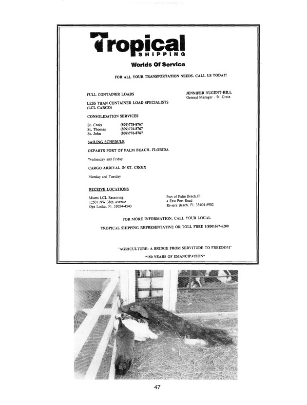 Agrifest : agriculture and food fair of St. Croix, Virgin Islands. 1998. - Page 44