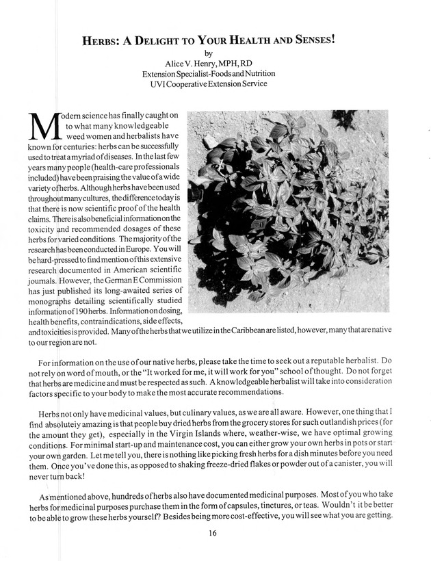 Agrifest : agriculture and food fair of St. Croix, Virgin Islands. 1999. - Page 16