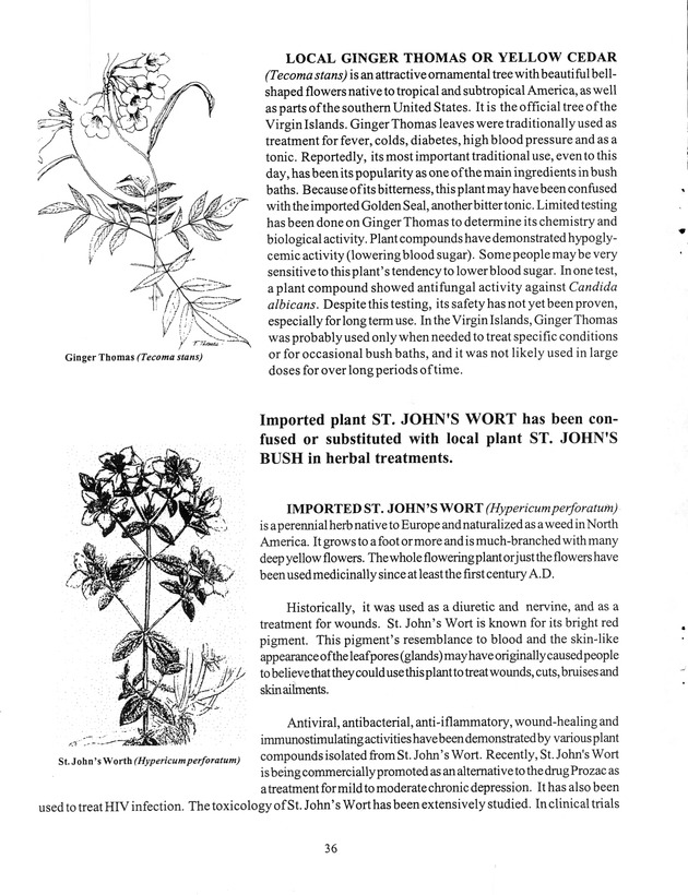 Agrifest : agriculture and food fair of St. Croix, Virgin Islands. 1999. - Page 36