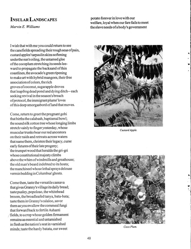 Agrifest : agriculture and food fair of St. Croix, Virgin Islands. 1999. - Page 40