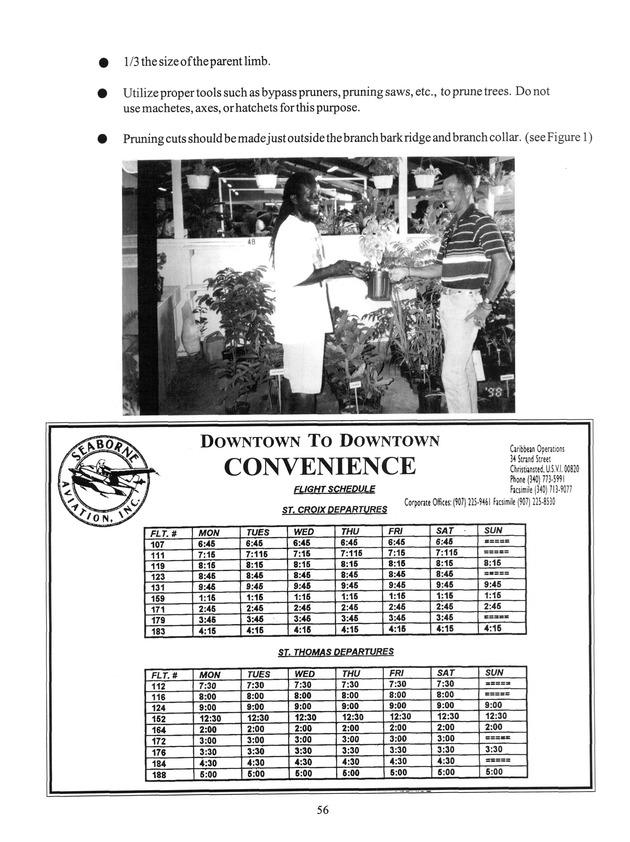 Agrifest : agriculture and food fair of St. Croix, Virgin Islands. 1999. - Page 56