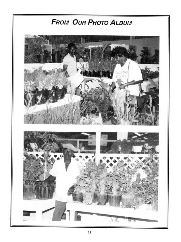 Agrifest : agriculture and food fair of St. Croix, Virgin Islands. 1999. - Page 73