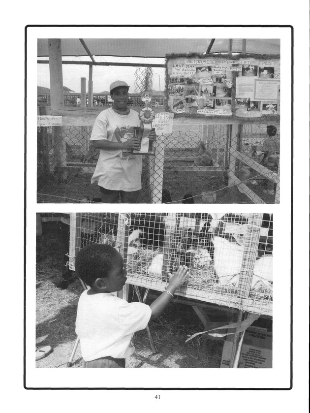 Agrifest : agriculture and food fair of St. Croix, Virgin Islands. 2001. - Page 41