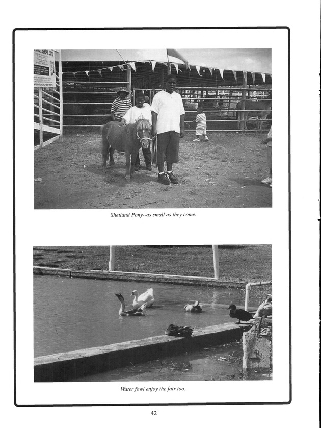 Agrifest : agriculture and food fair of St. Croix, Virgin Islands. 2001. - Page 42