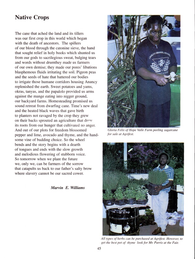 Agrifest : agriculture and food fair of St. Croix, Virgin Islands. 2001. - Page 45