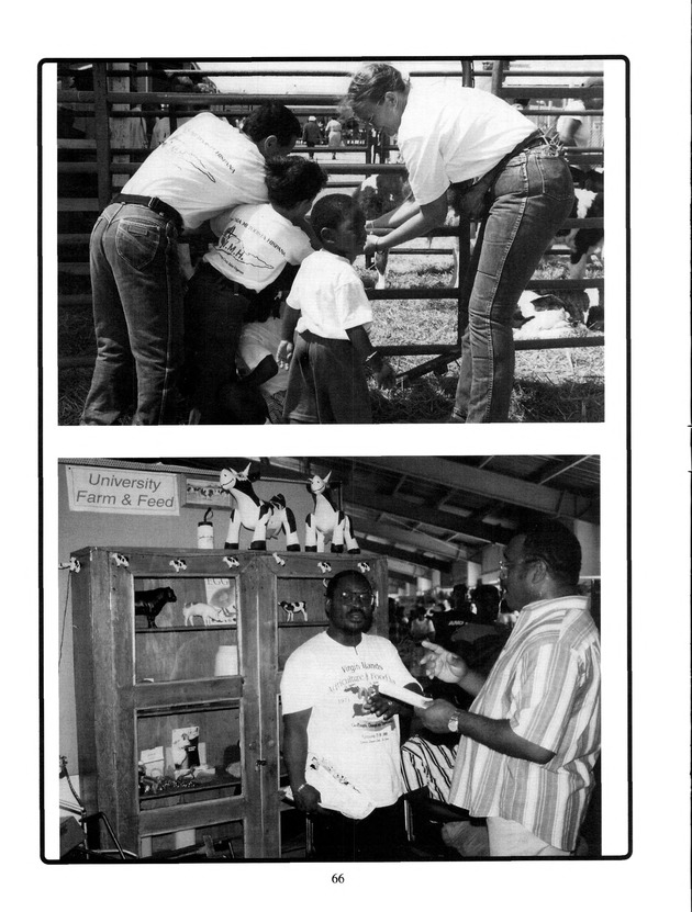 Agrifest : agriculture and food fair of St. Croix, Virgin Islands. 2001. - Page 66