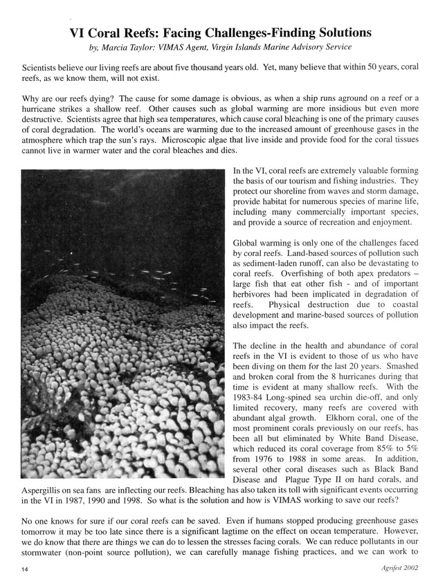 Agrifest : agriculture and food fair of St. Croix, Virgin Islands. 2002. - Page 14