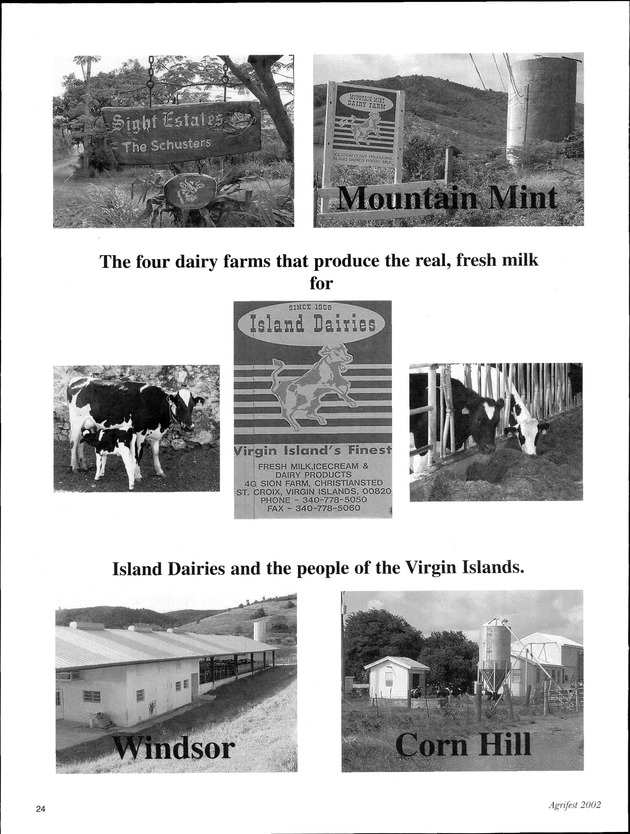 Agrifest : agriculture and food fair of St. Croix, Virgin Islands. 2002. - Page 24