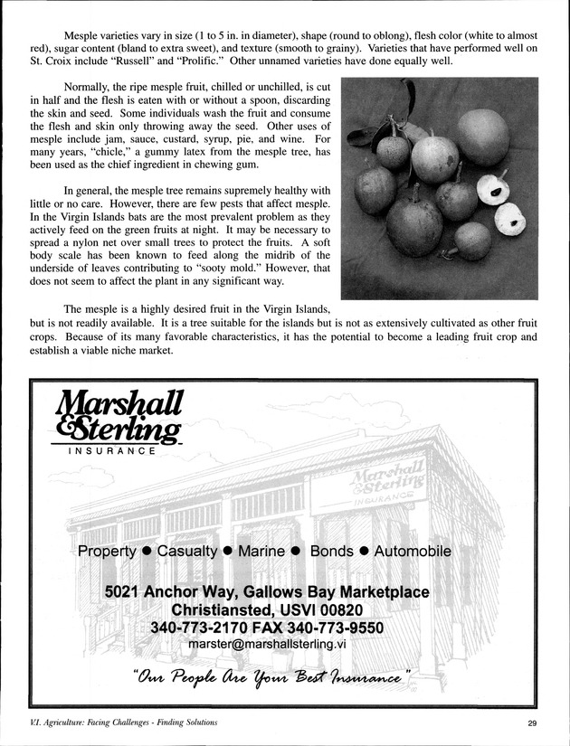 Agrifest : agriculture and food fair of St. Croix, Virgin Islands. 2002. - Page 29