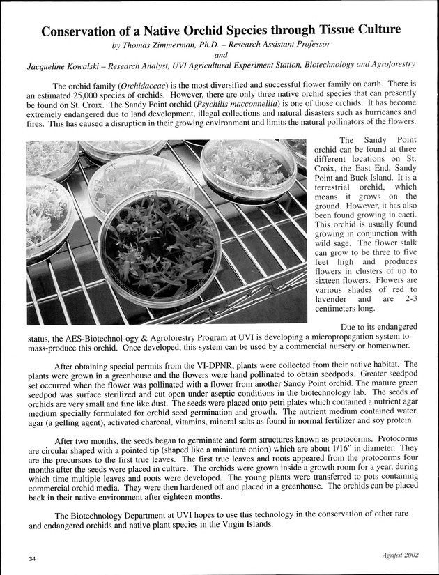 Agrifest : agriculture and food fair of St. Croix, Virgin Islands. 2002. - Page 34