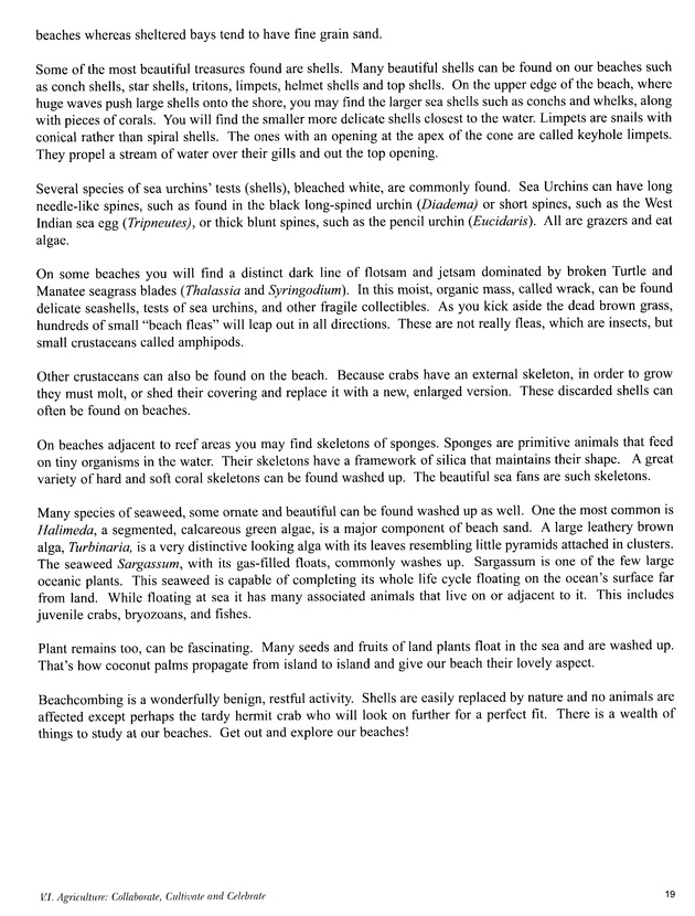 Agrifest : agriculture and food fair of St. Croix, Virgin Islands. 2003. - Page 19