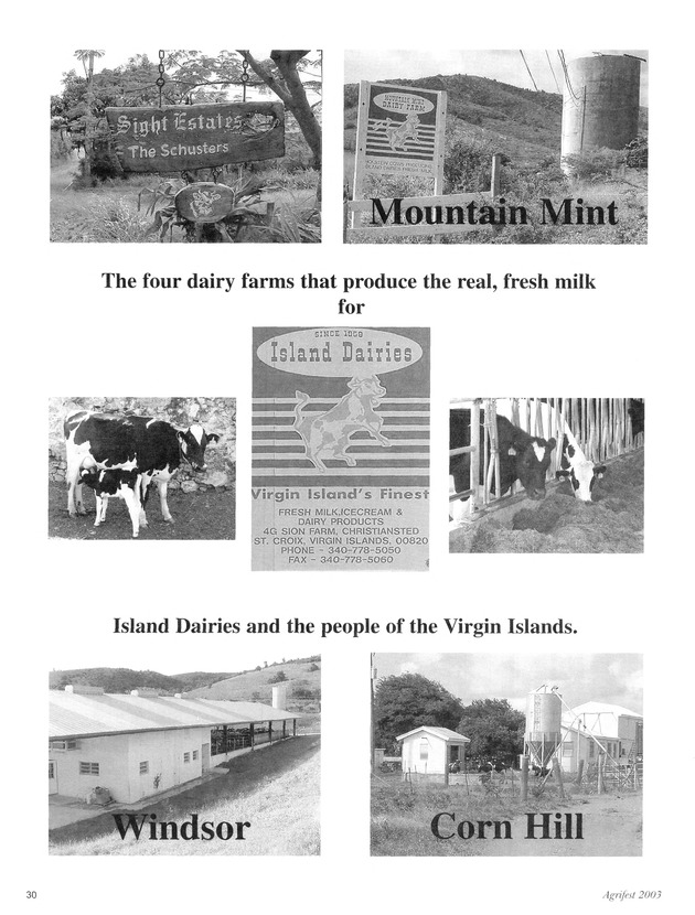 Agrifest : agriculture and food fair of St. Croix, Virgin Islands. 2003. - Page 30