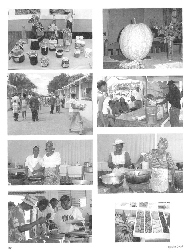 Agrifest : agriculture and food fair of St. Croix, Virgin Islands. 2003. - Page 32