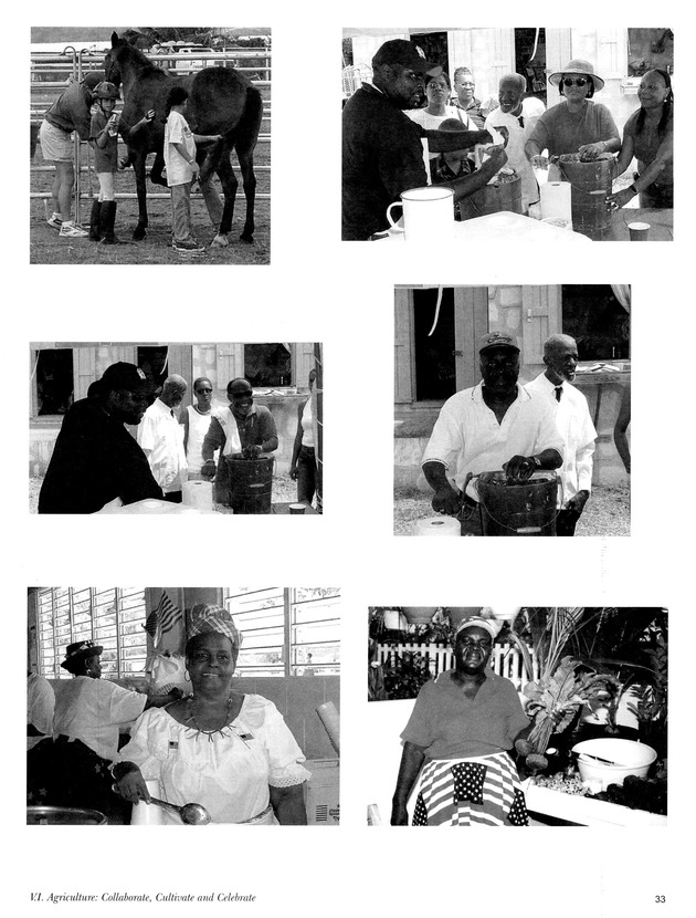 Agrifest : agriculture and food fair of St. Croix, Virgin Islands. 2003. - Page 33