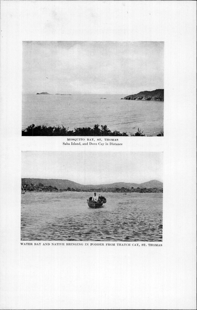 Virgin Islands, our new possessions, and the British islands - Page 40a