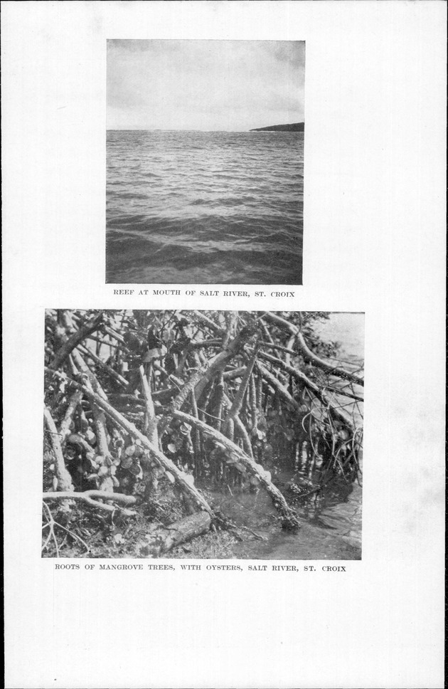 Virgin Islands, our new possessions, and the British islands - Page 226a