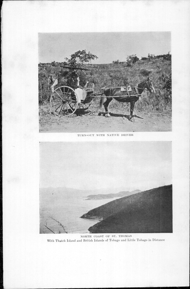 Virgin Islands, our new possessions, and the British islands - Page 242b