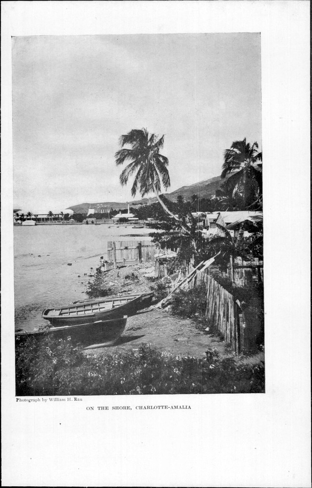 Virgin Islands, our new possessions, and the British islands - Page 266a