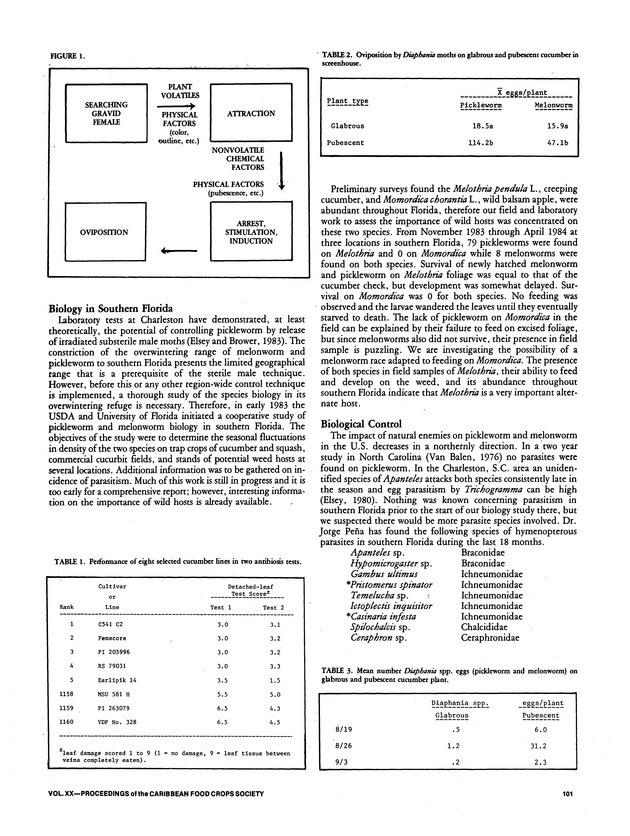 Proceedings of the 20th Annual meeting of the Caribbean Food Crops Society. St. Croix, U.S. Virgin Islands : October 21-26, 1984 - Page 101