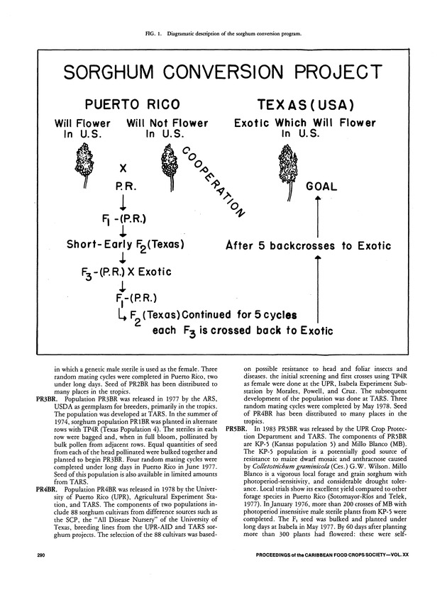 Proceedings of the 20th Annual meeting of the Caribbean Food Crops Society. St. Croix, U.S. Virgin Islands : October 21-26, 1984 - Page 290