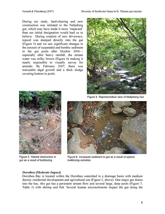 Diversity of freshwater fish and crustaceans of St. Thomas watersheds and its relationship to water quality as affected by residential and commercial development - Page 8