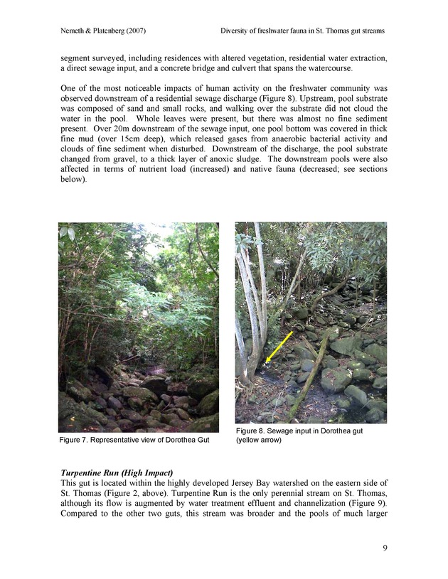 Diversity of freshwater fish and crustaceans of St. Thomas watersheds and its relationship to water quality as affected by residential and commercial development - Page 9