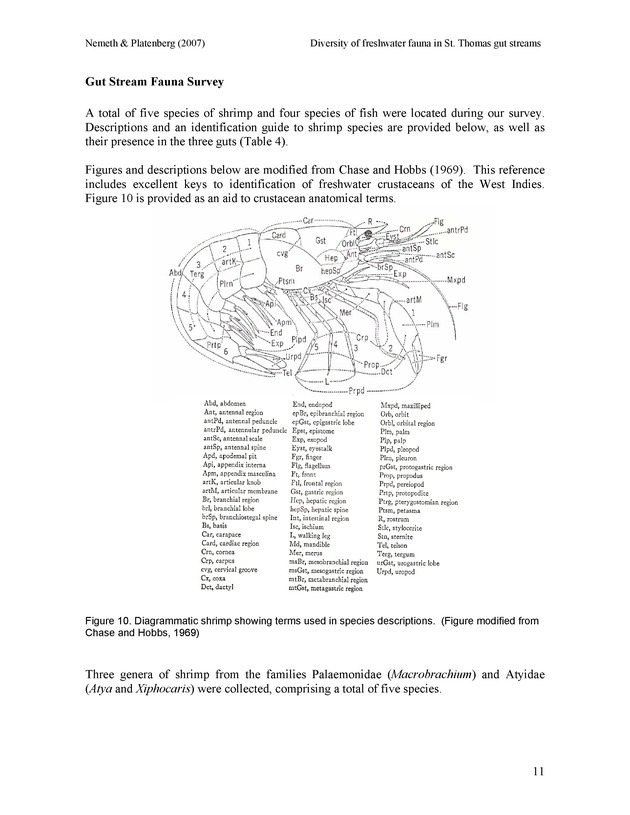 Diversity of freshwater fish and crustaceans of St. Thomas watersheds and its relationship to water quality as affected by residential and commercial development - Page 11