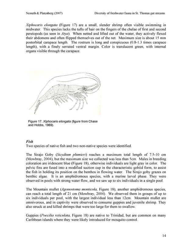 Diversity of freshwater fish and crustaceans of St. Thomas watersheds and its relationship to water quality as affected by residential and commercial development - Page 14