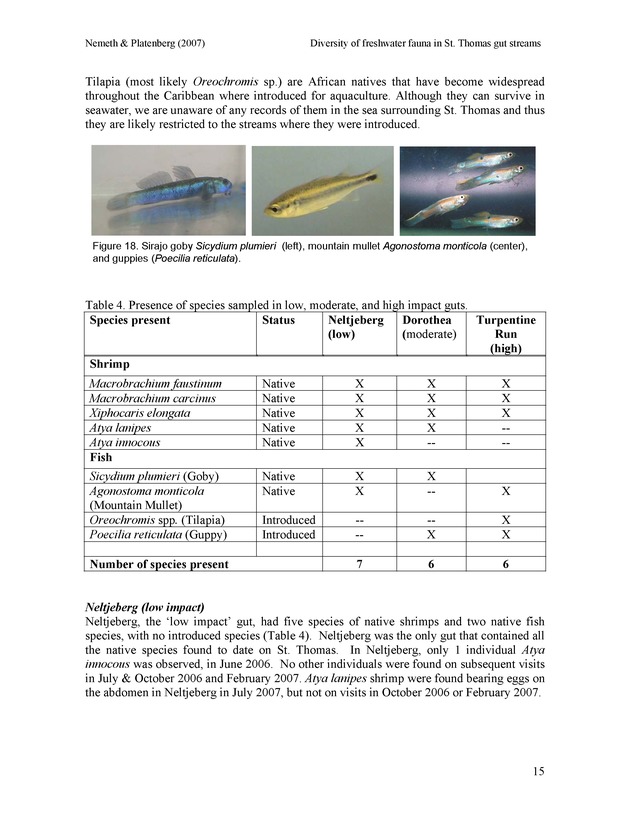 Diversity of freshwater fish and crustaceans of St. Thomas watersheds and its relationship to water quality as affected by residential and commercial development - Page 15