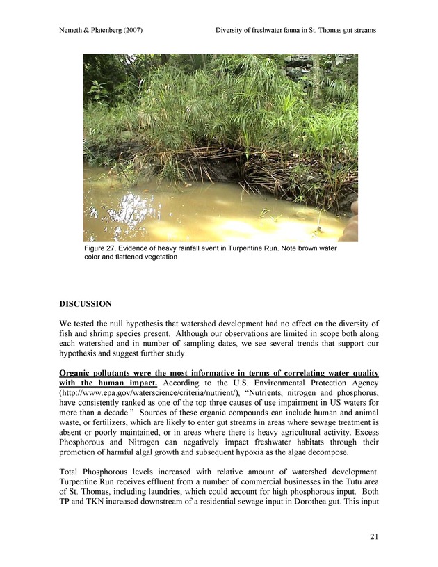 Diversity of freshwater fish and crustaceans of St. Thomas watersheds and its relationship to water quality as affected by residential and commercial development - Page 21