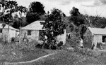 Labourers' homes at Mt. Pleasant, St. Croix