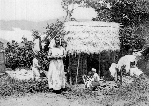 Hut in St. John