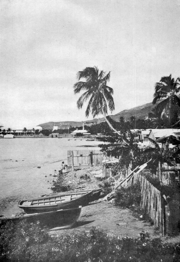 Cowell's Battery and entrance of St. Thomas Harbor