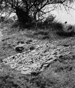 Pottery drying in the sun