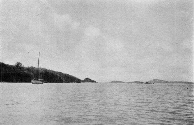 Privateer Bay, St. John