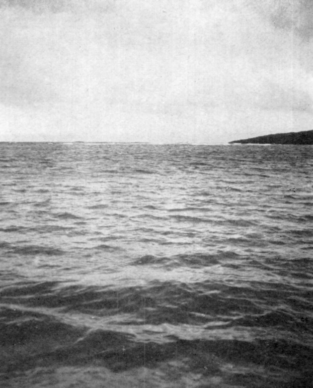 Reef at mouth of Salt River, St. Croix