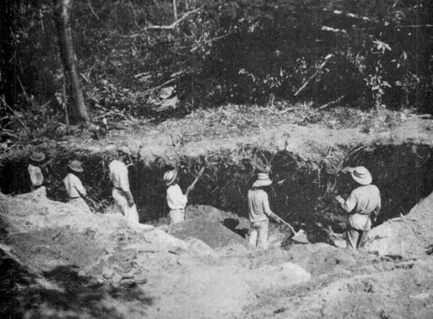 Laborers excavating pre-historic deposits, Magen's Bay, St. Thomas