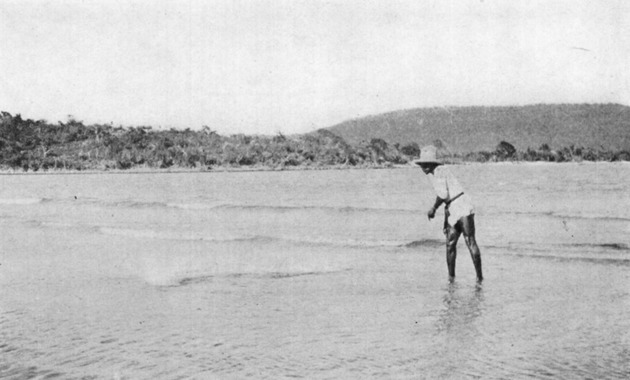 Man fishing with casting net, St.Thomas