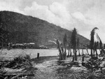 Krum Bay with shipyard and coconut trees destroyed by the huricanne of 1916, St. Thomas