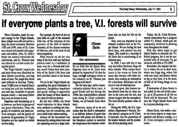 If everyone plants a tree, V.I. forests will survive (July 17, 1991)