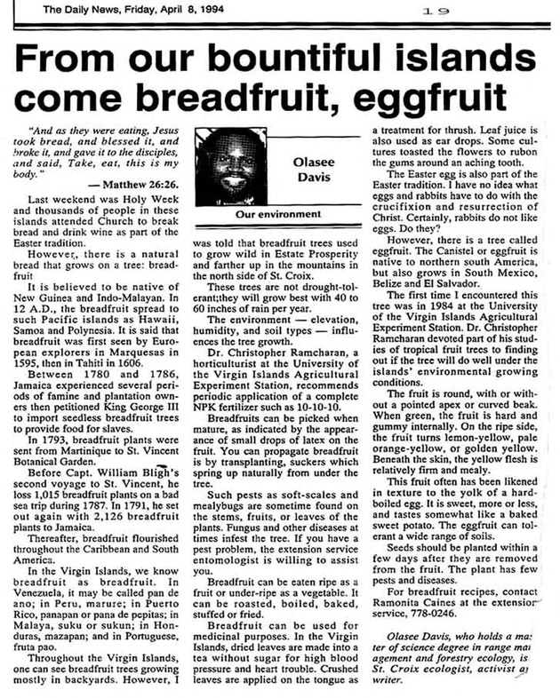 From our bountiful islands come breadfruit, eggfruit