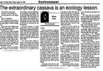 The extraordinary cassava is an ecological lesson