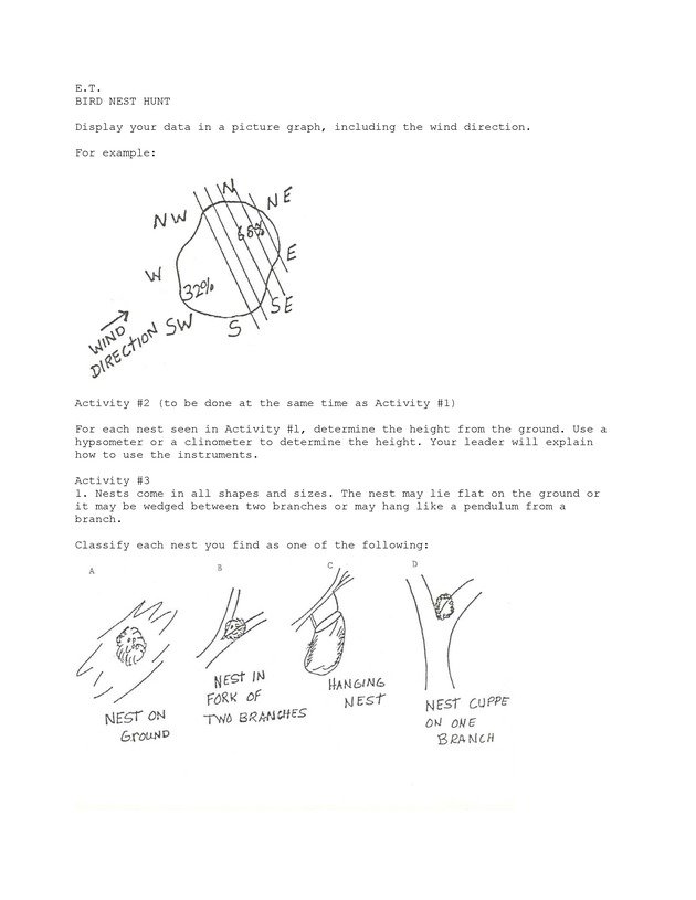 Bird nest hunt - Page 3