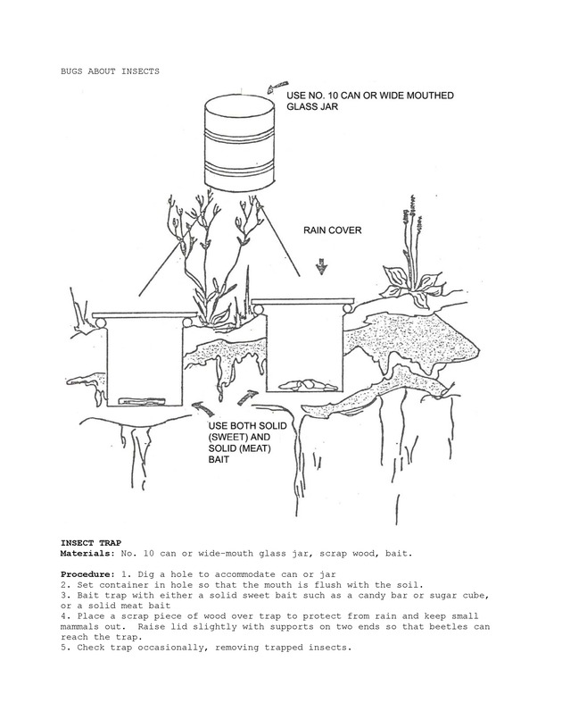 Bugs about insects - Page 5