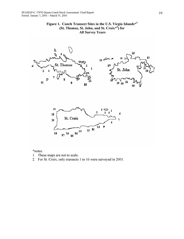 USVI queen conch stock assessment - Page 19