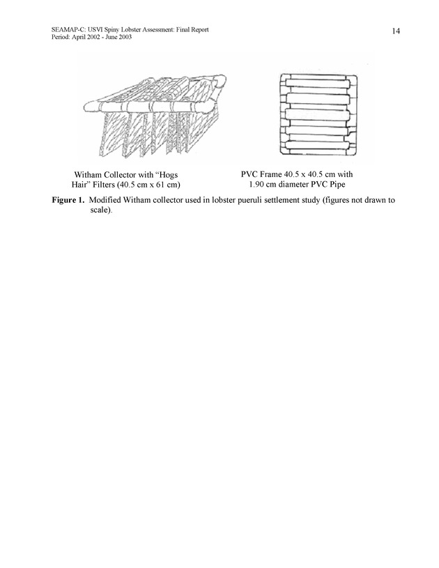 USVI Caribbean spiny lobster assessment - Page 14