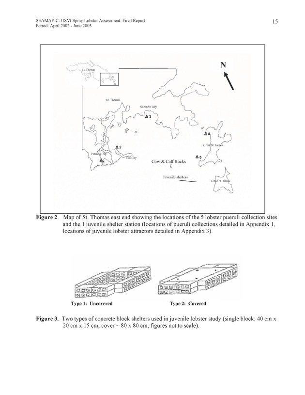 USVI Caribbean spiny lobster assessment - Page 15