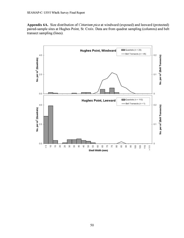 A population survey of the West Indian topshell of whelk (Cittarium pica) in the U.S. Virgin Islands - Page 50