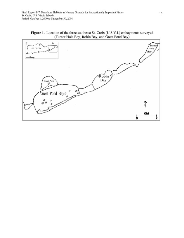 Nearshore habitats as nursery grounds for recreationally important fishes, St. Croix, U.S. Virgin Islands - Page 35